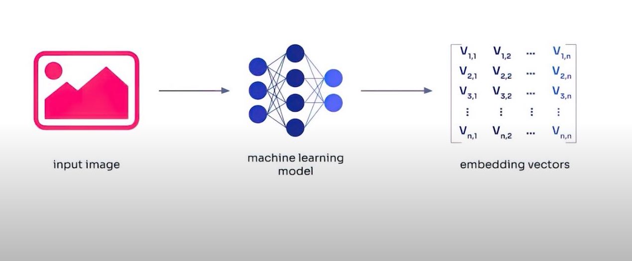 embedded vectors