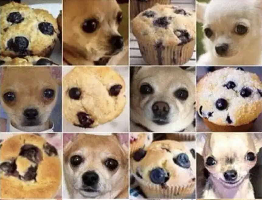 image-search-machine learning